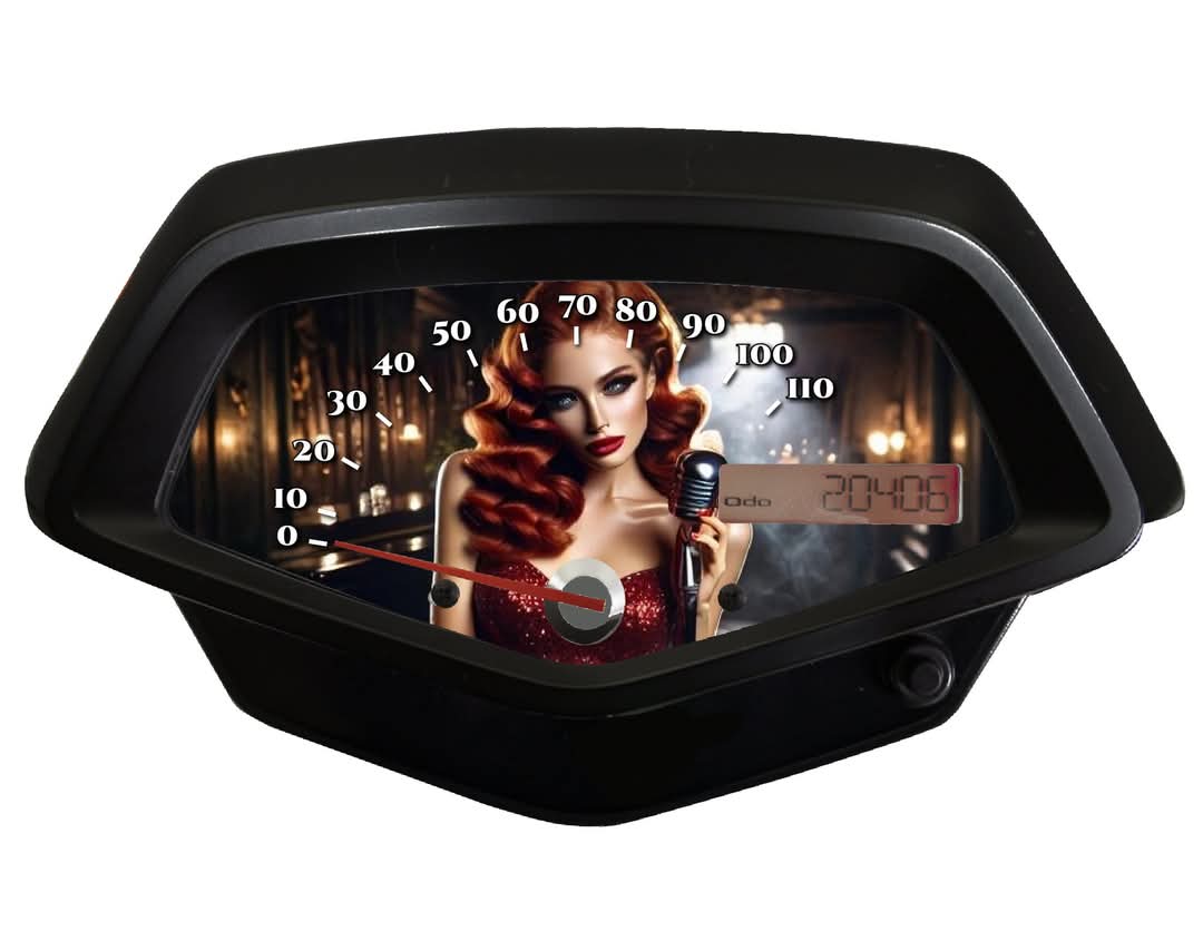 FB_IMG_1735063155356